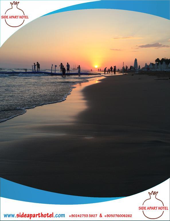 One-Bedroom Apartment,347536783:JPEG