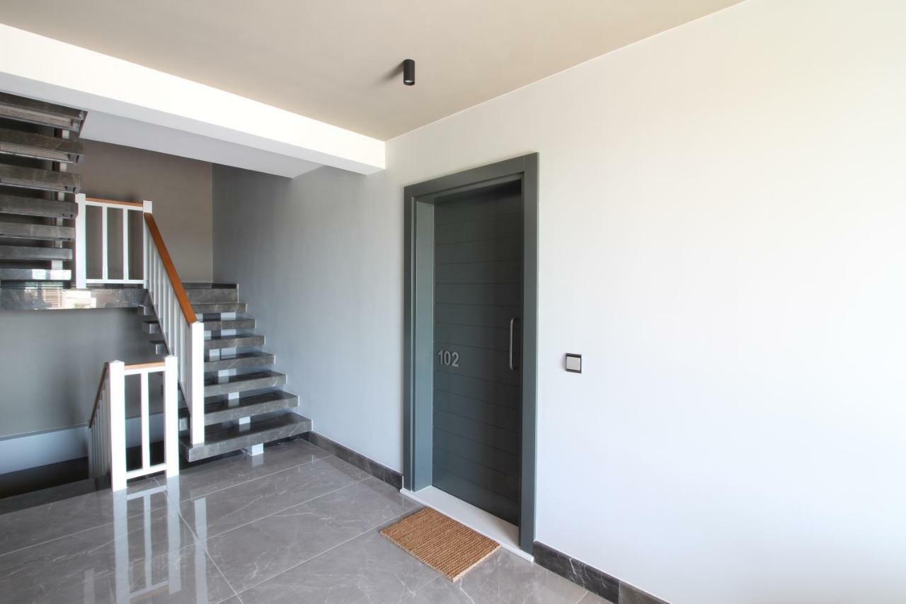 Appartement 1 Chambre