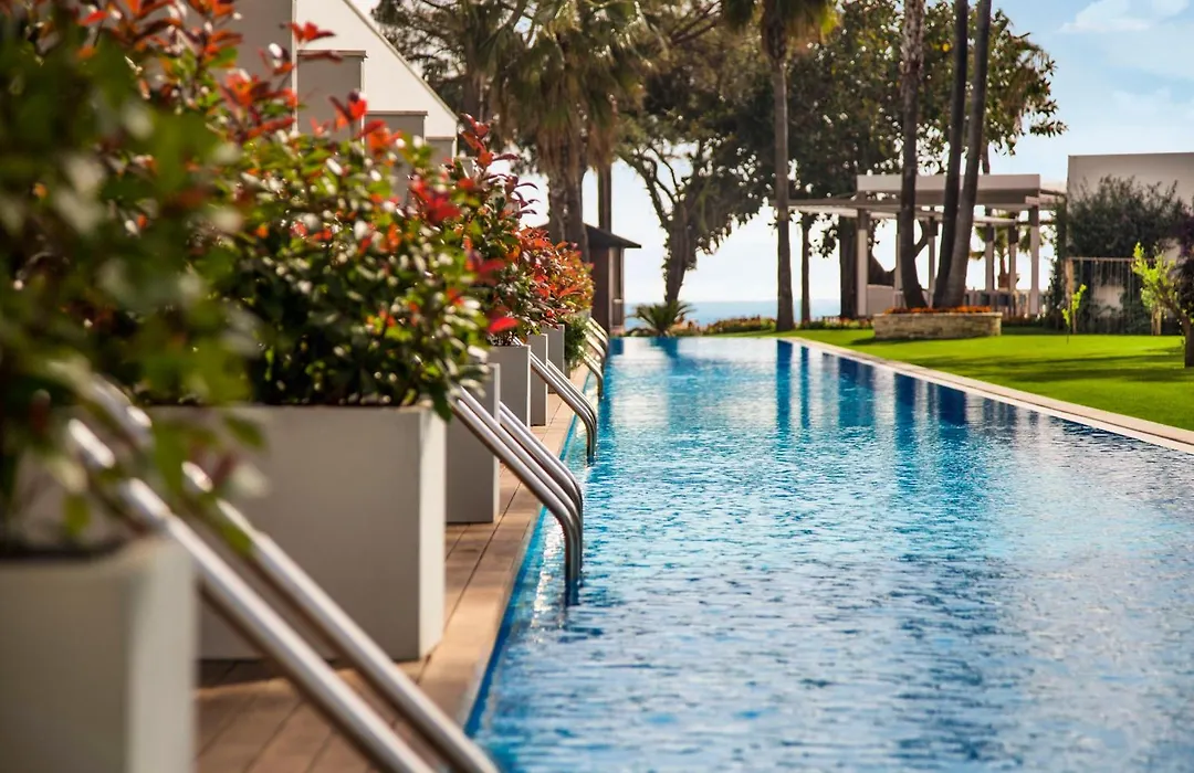 Acanthus Cennet Barut Collection-1