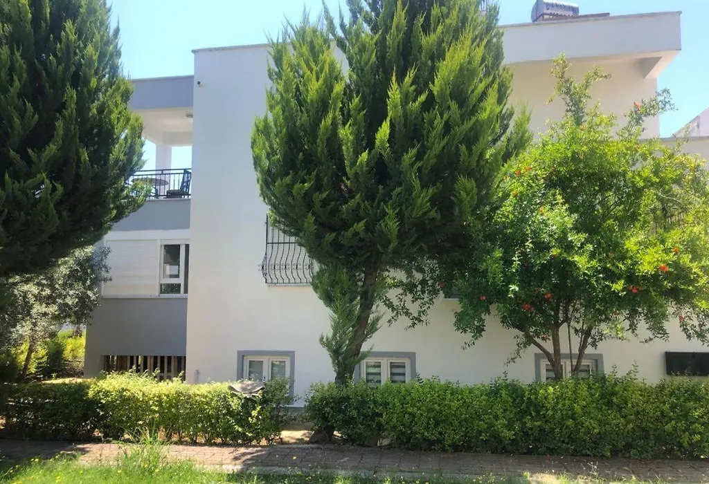 Sea Home-1