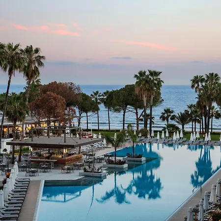 Acanthus Cennet Barut Collection-3