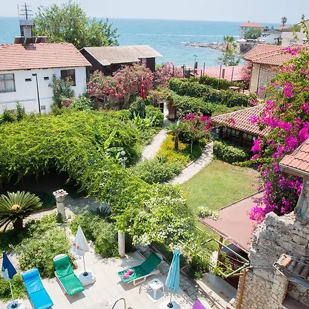Lale Park-2