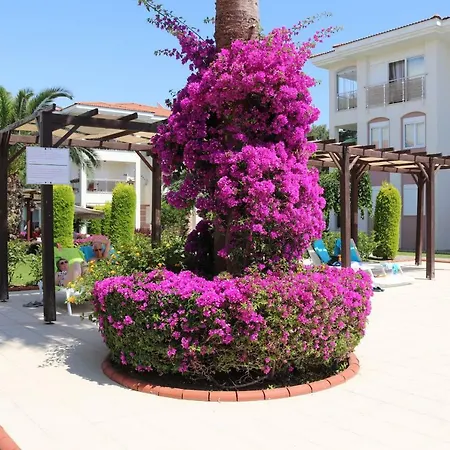 Four Seasons. Ilicia. Side-3